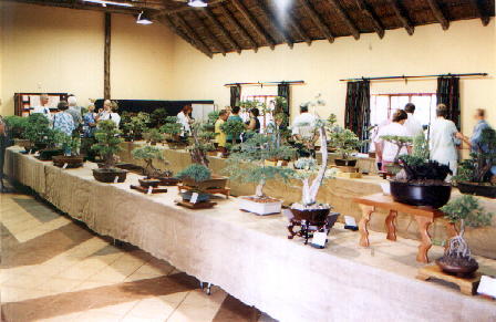 A hall full of trees
